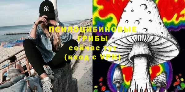 круглые Аркадак