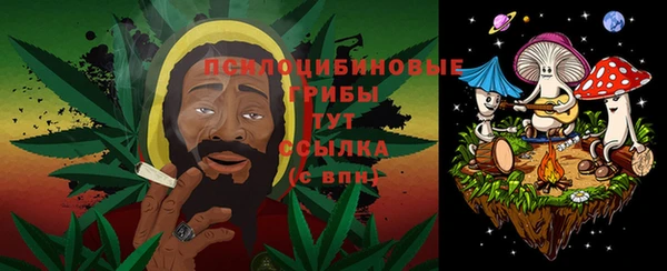 круглые Аркадак