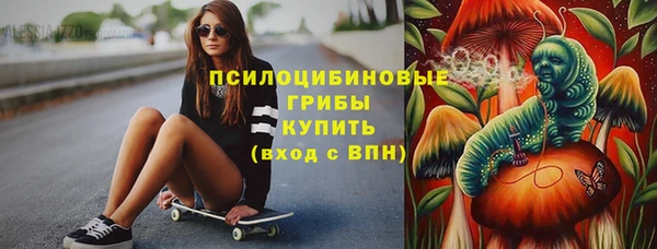 спайс Арсеньев