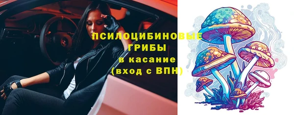 соль ск Армянск