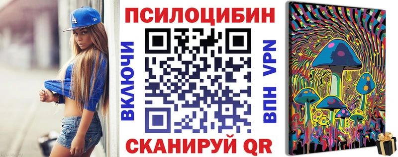 Псилоцибиновые грибы GOLDEN TEACHER магазин продажи Светлогорск
